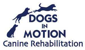 dogsinmotion-logo-large dogsinmotion-logo-large