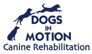 dogsinmotion-logo-large