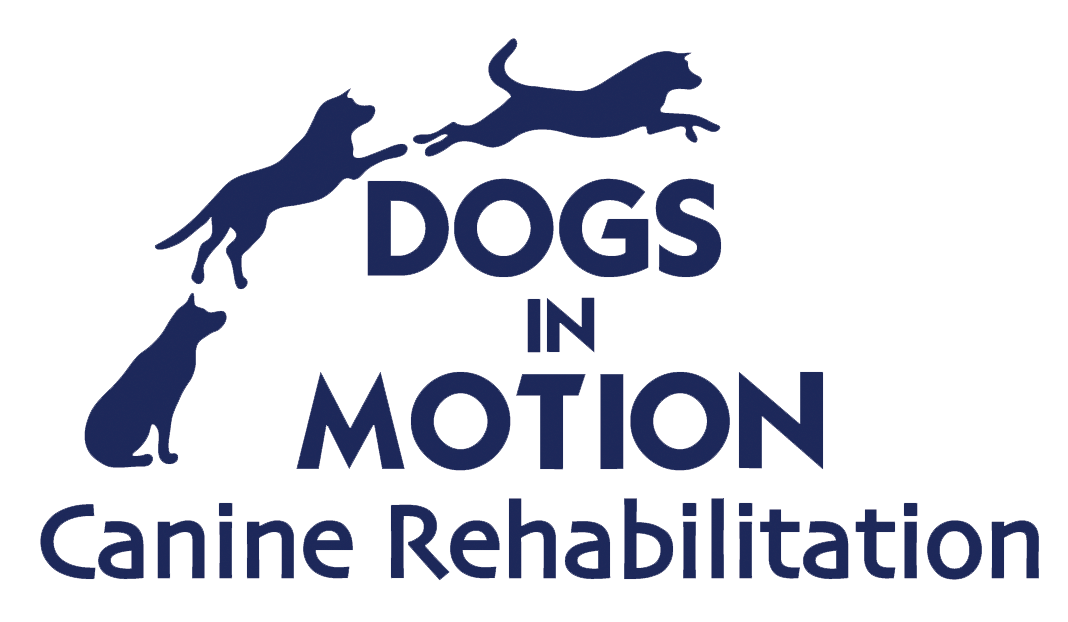 dogsinmotion-logo-large dogsinmotion-logo-large
