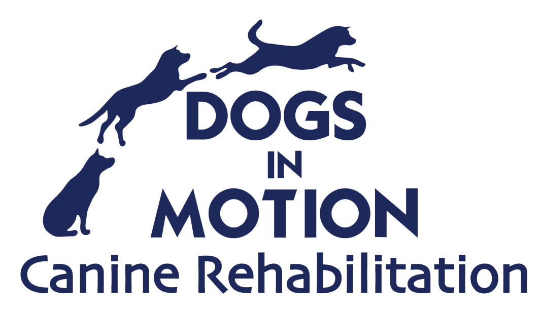 dogsinmotion-logo-large