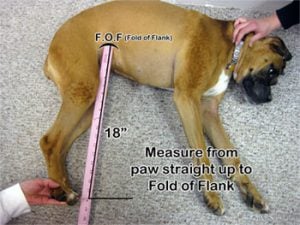 Measurement assistant