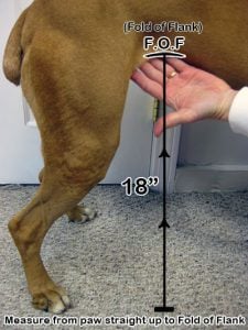Measurement assistant