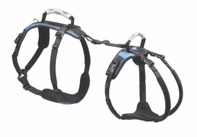 Large Hip Lift Only Outlined - Med Size Large Hip Lift Only Outlined - Med Size