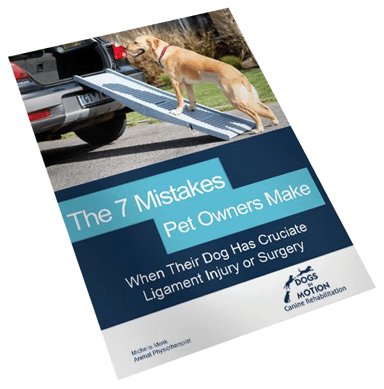 The-7-Mistakes-Pet-Owners The-7-Mistakes-Pet-Owners