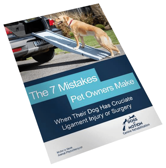 The-7-Mistakes-Pet-Owners