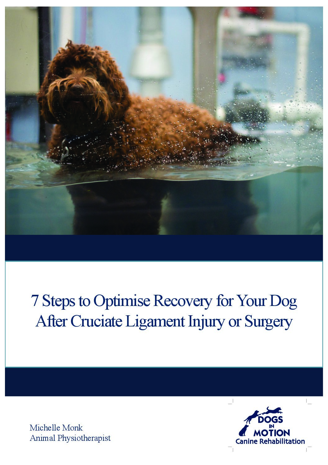 Products Dogs In Motion Canine Rehabilitation