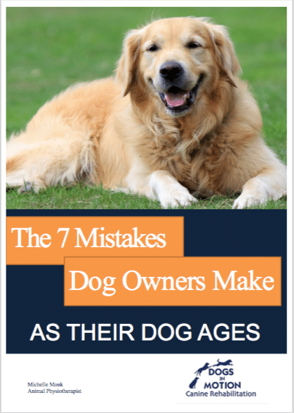 Dogs in Motion Canine Rehabilitation Cover of ebook 7 Mistakes dog owners make as their dog ages by Michelle Monk Dogs in Motion Canine Rehabilitation Cover of ebook 7 Mistakes dog owners make as their dog ages by Michelle Monk