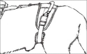 conventional-position conventional-position