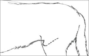 uband-position uband-position